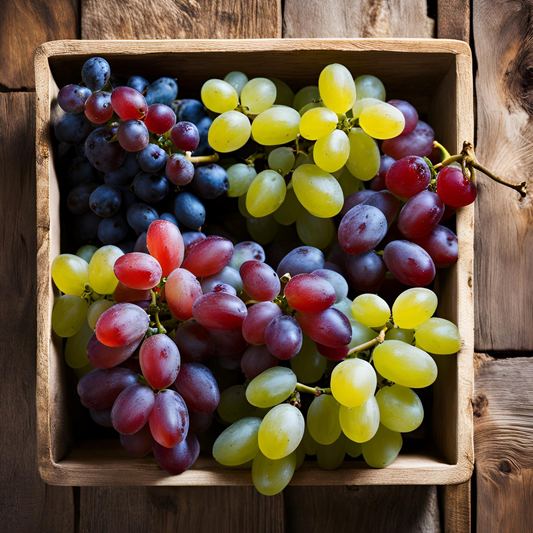 Florastore Traubenpflanze - 6 Stk - Vitis Vinifera - Höhe 25-40Cm - ⌀9Cm