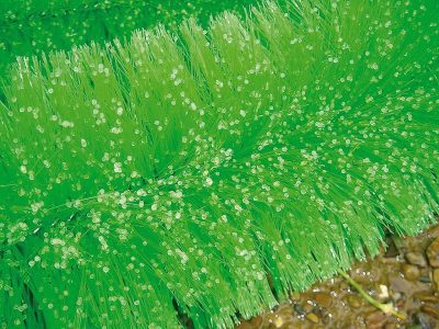 Black Knight Ablaichbürste 250 cm ø 13 cm