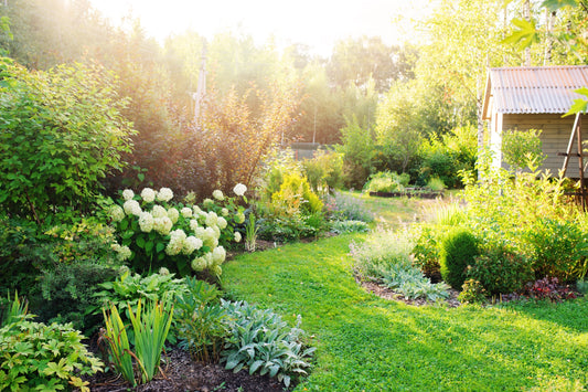 10 Gartentipps