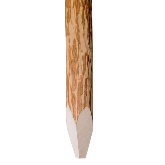 Zaunpfosten Mit Spitzen Enden 4 Stk. Haselholz