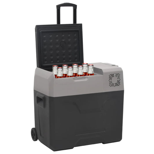 Kühlbox Mit Rollen Und Adapter Schwarz & Grau Polypropylen