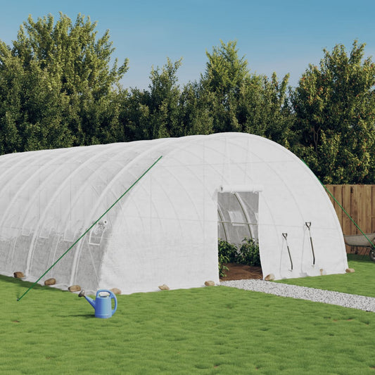 Gewächshaus Mit Stahlrahmen 60 M² 10X6X2,85 M