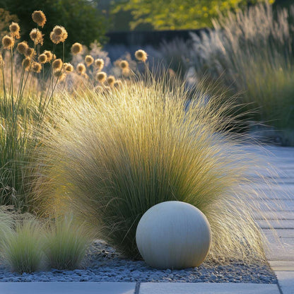 Florastore Ziergras-Set - 6 Stk - Stipa, Festuca, Carex - Höhe 15-25Cm - ⌀11Cm
