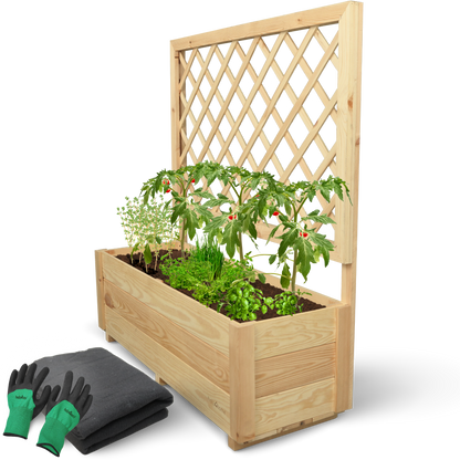 Pflanzkasten mit Rankgitter Pflanzkübel und Spalier für Rankpflanzen S/M/L
