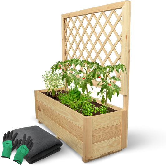 Pflanzkasten mit Rankgitter Pflanzkübel und Spalier für Rankpflanzen S/M/L