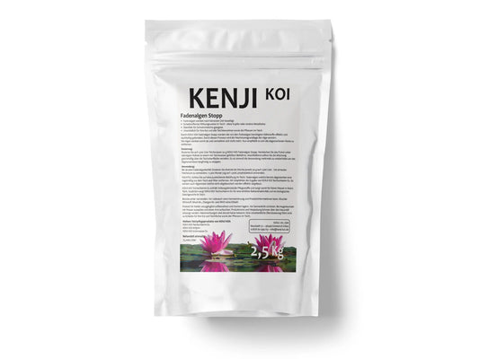 KENJI KOI Fadenalgen Stopp