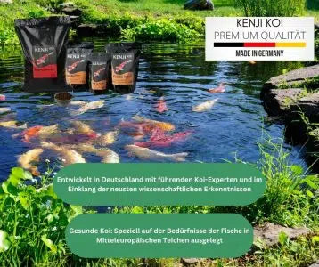 KENJI KOI Color Intense 5kg