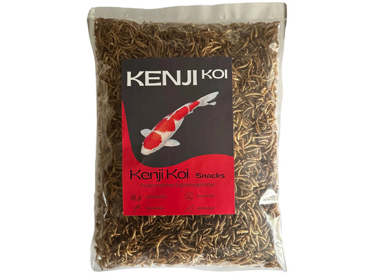KENJI KOI Snack – Mehlwürmer