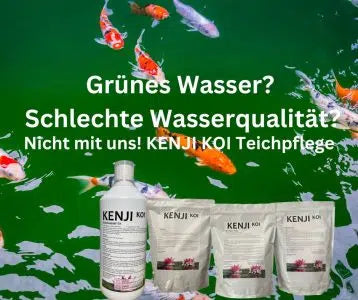 KENJI KOI Fadenalgen Stopp