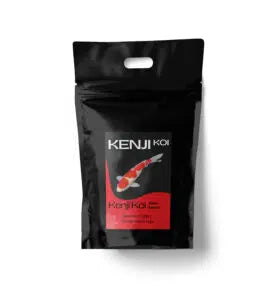 KENJI KOI Winter Balance – sinkend